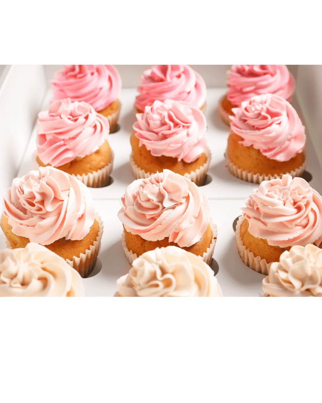 Cupcakes