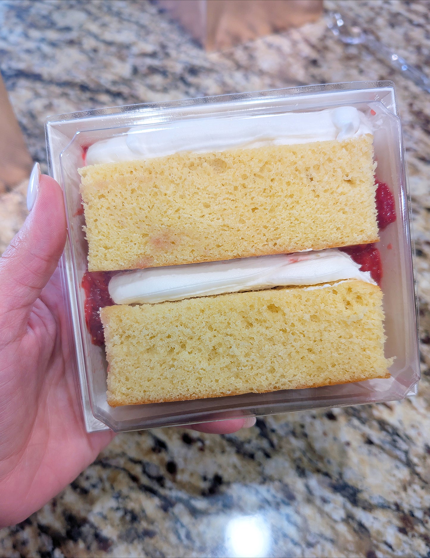Cake Slice