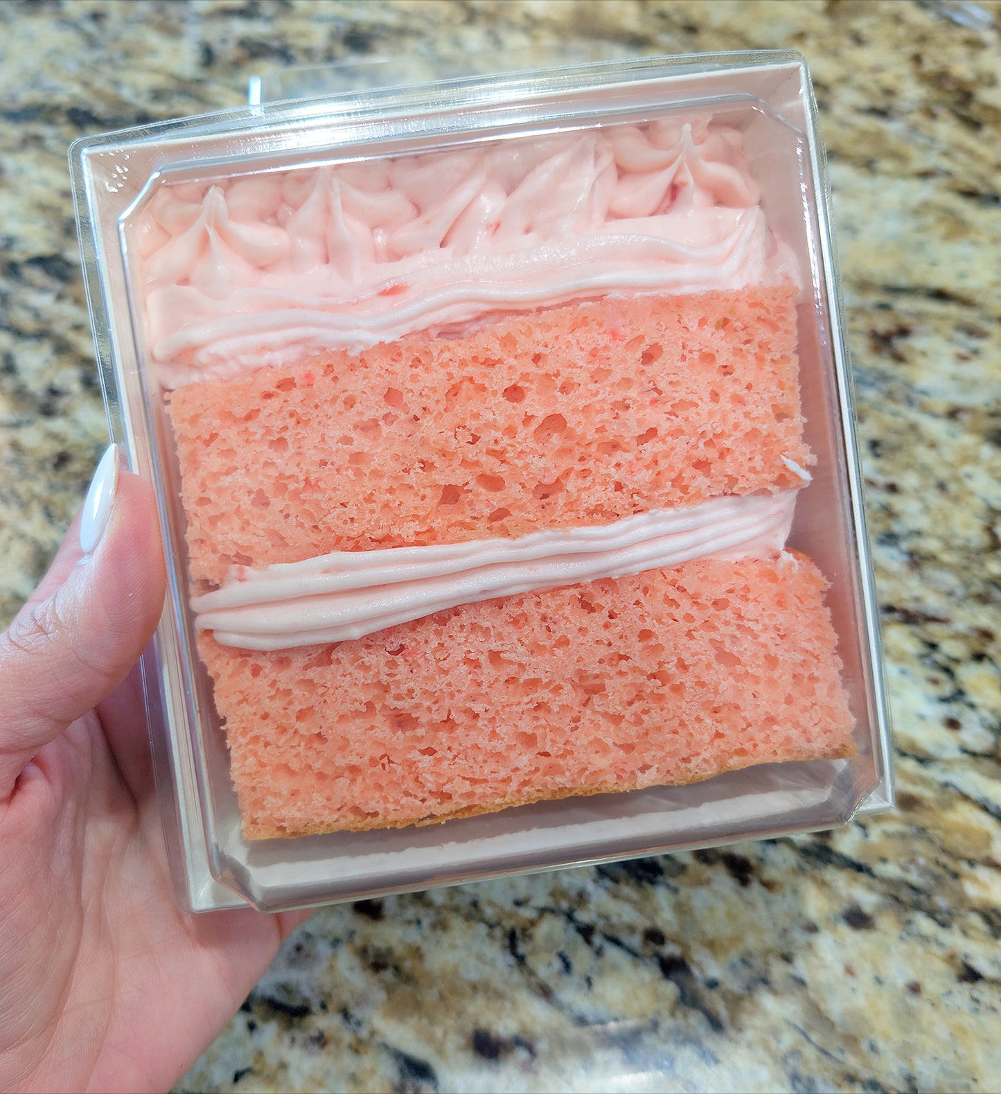 Cake Slice