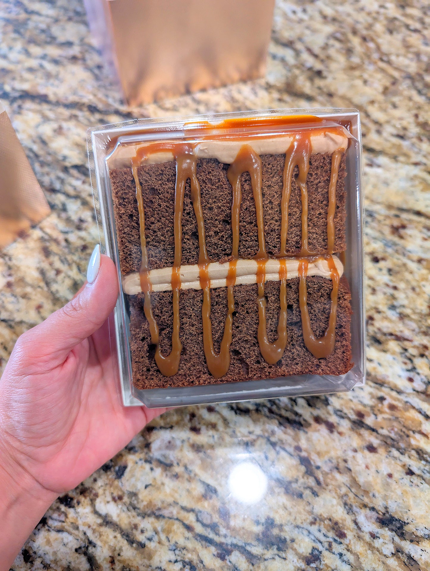 Cake Slice