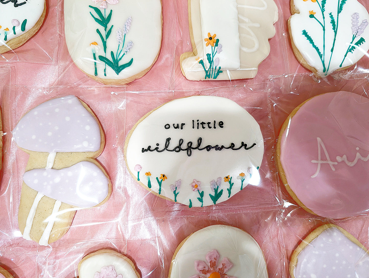 Decorated Sugar Cookies