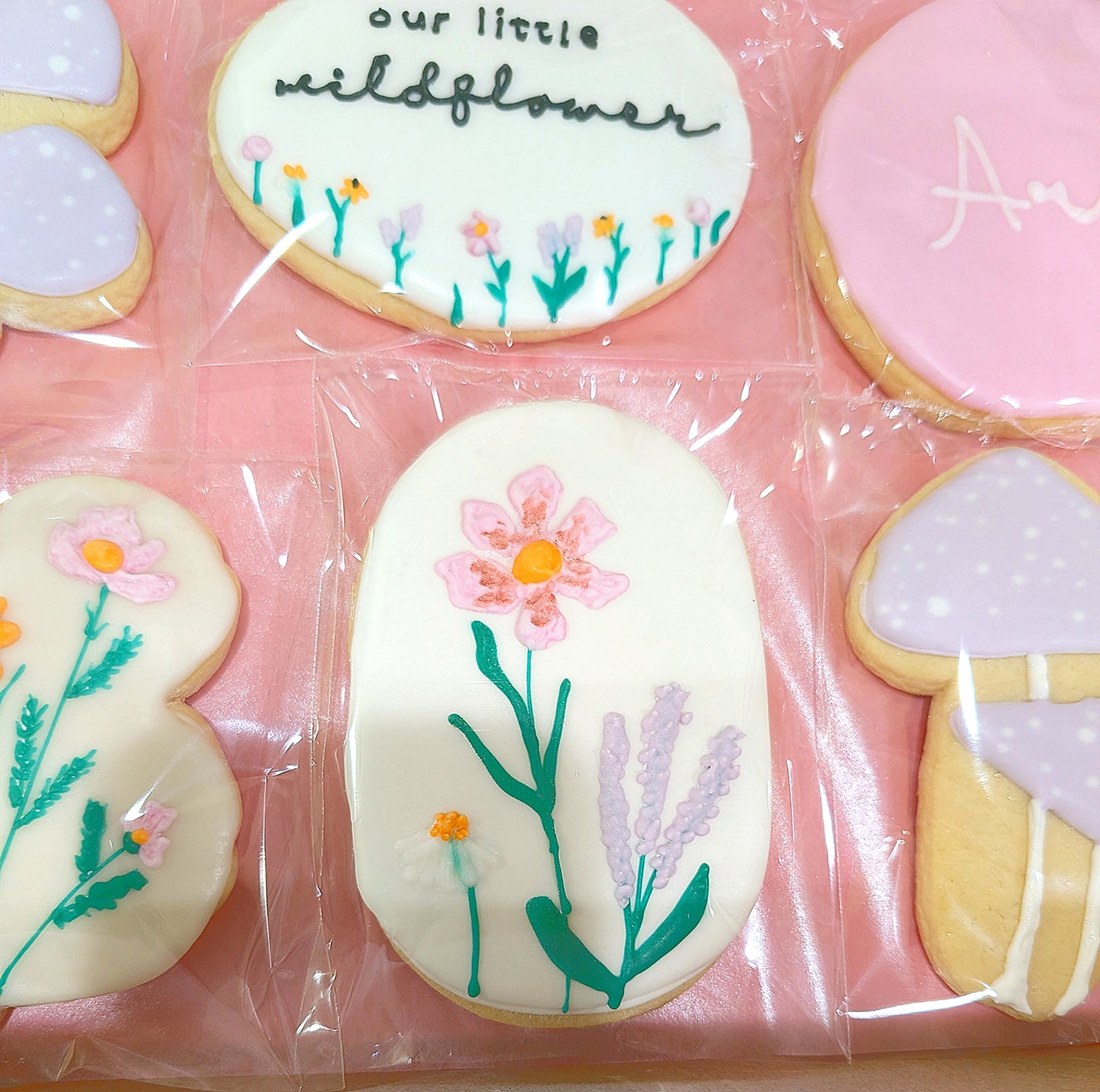 Decorated Sugar Cookies